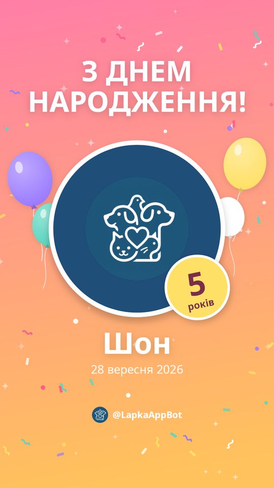 Листівка до дня народження собаки для сторіз в Instagram